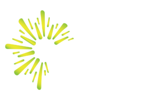Bora Insurance Broker