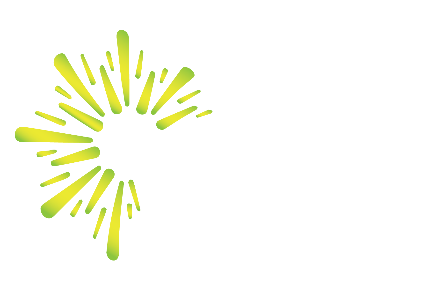 Bora Insurance Brokers